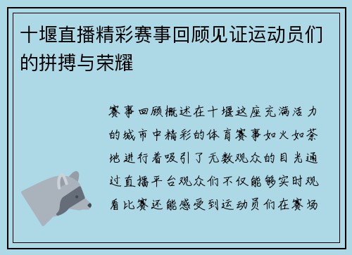 十堰直播精彩赛事回顾见证运动员们的拼搏与荣耀