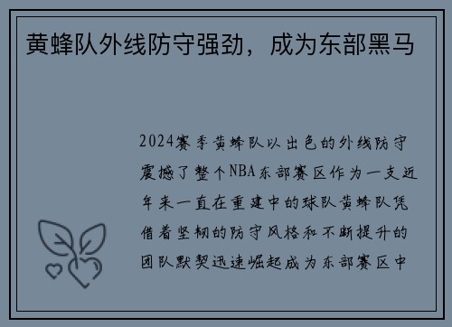 黄蜂队外线防守强劲，成为东部黑马